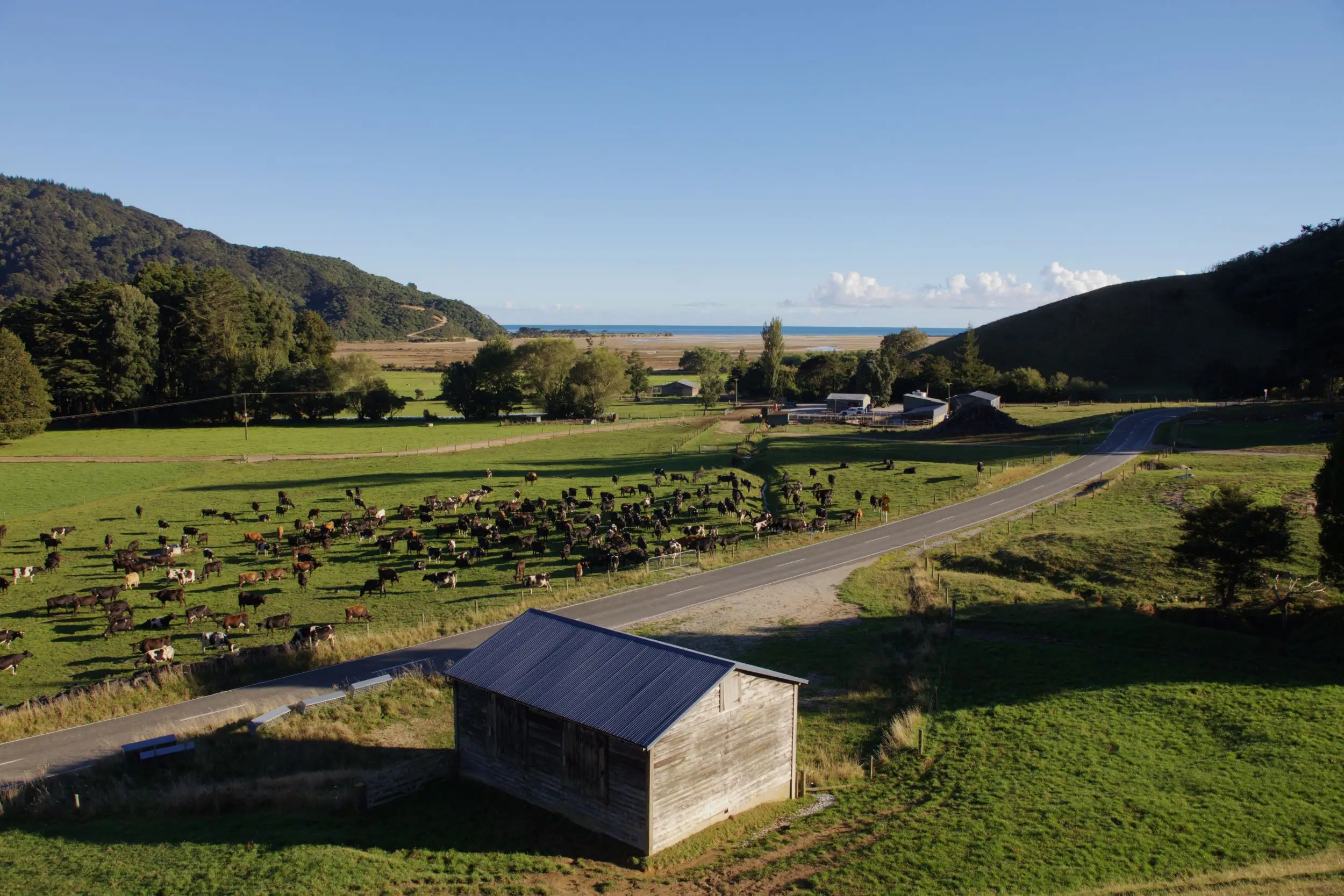 New Zealand Mountain 9